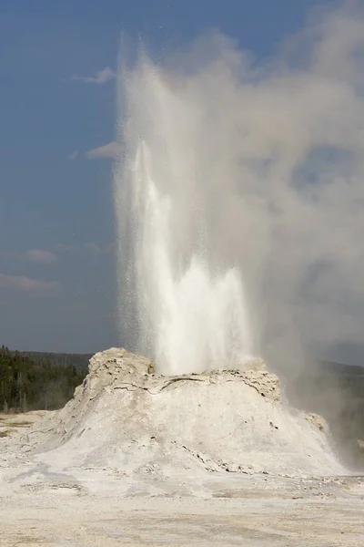 Castle Faithful Geyser Old Faithful Basin Yellowstone National Park Wyoming — 스톡 사진