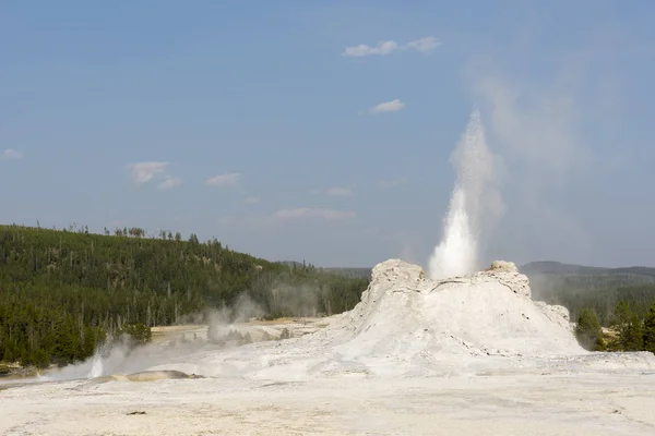 Slott Trogna Geyser Gammala Trogna Handfatet Yellowstone Nationalpark Wyoming — Stockfoto