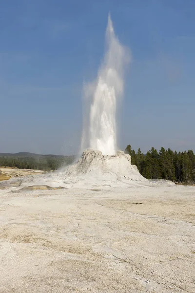 Castle Faithful Geyser Old Faithful Basin Yellowstone National Park Wyoming — 스톡 사진