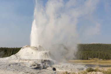 Wyoming 'deki Yellowstone Ulusal Parkı' ndaki eski sadık havzada sadık bir gayzer.