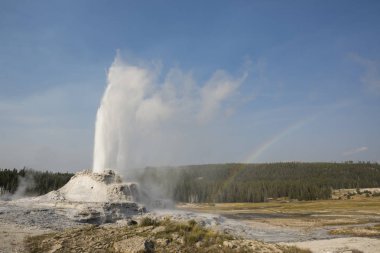 Wyoming 'deki Yellowstone Ulusal Parkı' ndaki eski sadık havzada sadık bir gayzer.