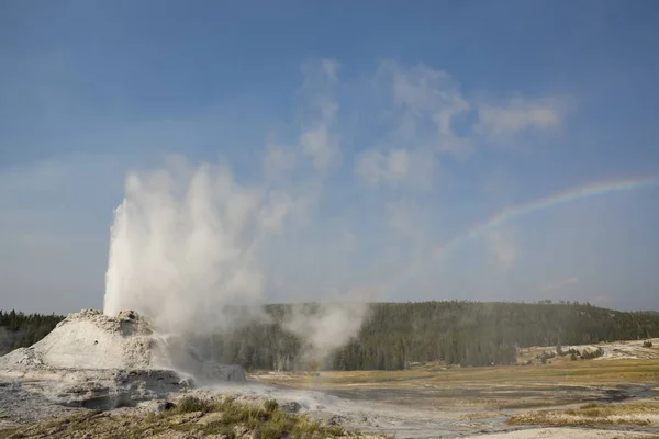 Castillo Fiel Géiser Antigua Cuenca Fiel Parque Nacional Yellowstone Wyoming —  Fotos de Stock