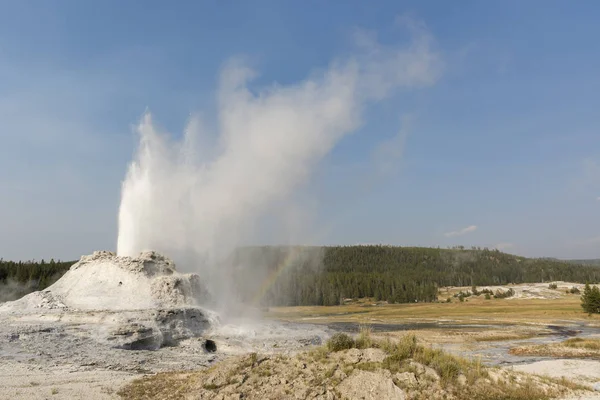 Castillo Fiel Géiser Antigua Cuenca Fiel Parque Nacional Yellowstone Wyoming — Foto de Stock