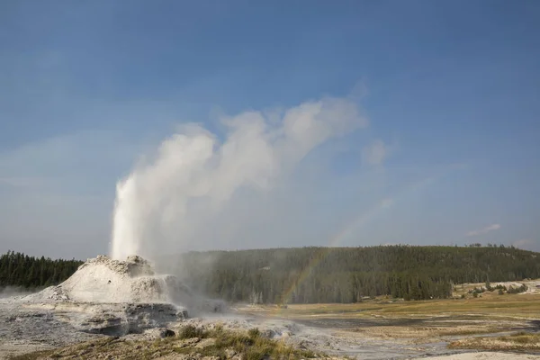 Kasteel Getrouwe Geiser Oude Getrouwe Bekken Yellowstone National Park Wyoming Rechtenvrije Stockfoto's