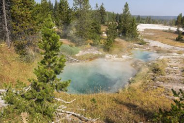 Wyoming Yellowstone Milli Parkı'nda Gayzer ve kaplıca