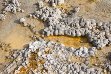 Wyoming Yellowstone Milli Parkı'nda Gayzer ve kaplıca