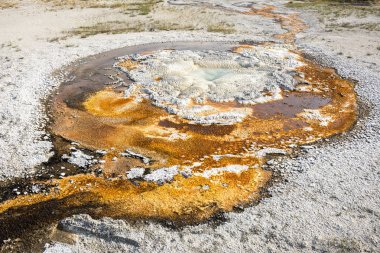 Wyoming Yellowstone Milli Parkı'nda Gayzer ve kaplıca