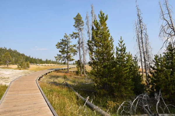 Geyserand Source Chaude Dans Parc National Yellowstone Dans Wyoming — Photo