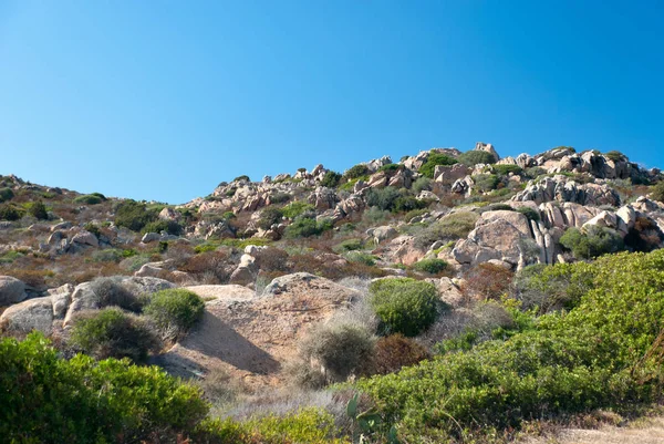 Landskap Med Mossa Och Gräs Island Nära Den Blå Lagunen — Stockfoto