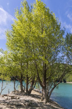 Liguria Cenova dağlarında Brugneto yapay göl üzerinde manzara
