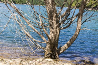 Liguria Cenova dağlarında Brugneto yapay göl üzerinde manzara