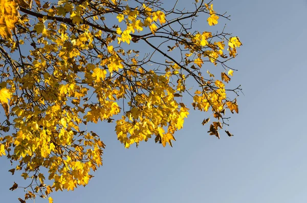 Paesaggio Autunnale Sulle Montagne Genova Liguria — Foto Stock