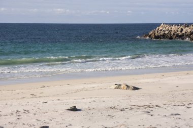 Ulusal Turistik Rota Andoya boyunca Norveç Lofoten Andenes deniz ve dağ arasında manzara
