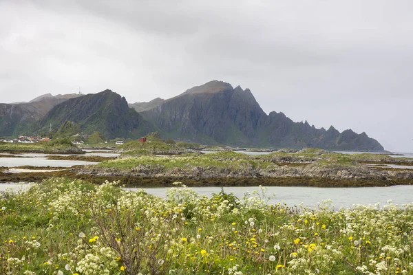 Paisagem Entre Mar Montanha Andenes Lofoten Noruega Longo Rota Turística — Fotografia de Stock