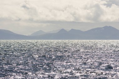 Andenes Lofoten Adaları Norveç'te de, dalış sırasında bir balina kuyruğu