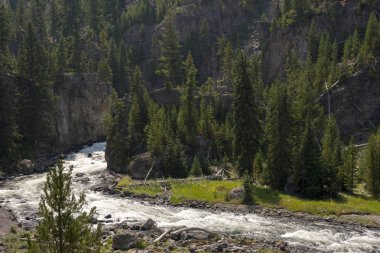 Wyoming 'deki Yellowstone Ulusal Parkı' ndaki yangın deliği kanyonu.