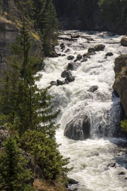 Wyoming 'deki Yellowstone Ulusal Parkı' ndaki yangın deliği kanyonu.