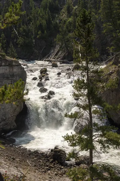 Canyon Drive Firehole Parque Nacional Yellowstone Wyoming — Fotografia de Stock