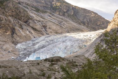 Norveç'te Laerdal'da Nigardsbreen Buzulu