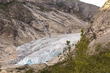 Norveç'te Laerdal'da Nigardsbreen Buzulu
