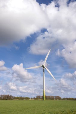 Hollanda'da Flevoland rüzgar türbinleri ve laleler ile manzara