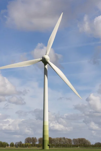 Paysage Avec Éoliennes Tulipes Dans Flevoland Hollande — Photo