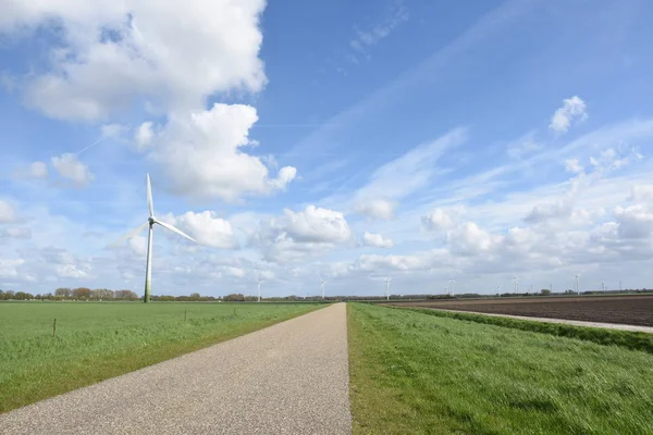 Krajobraz Turbin Wiatrowych Tulipanów Flevoland Holandii — Zdjęcie stockowe