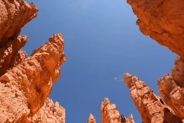 Landschap Navajo Loop Trail Bryce Canyon Verenigde Staten Van Amerika — Stockfoto