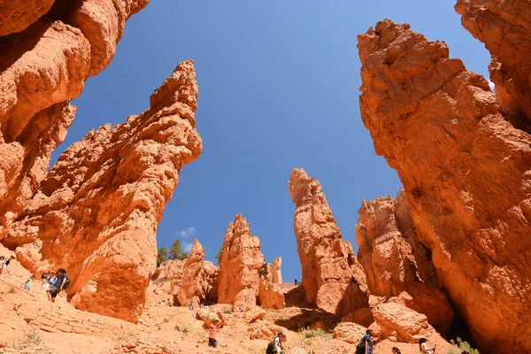 Landscape Navajo Loop Trail Bryce Canyon United States America — Stock Photo, Image