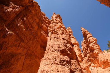Amerika Birleşik Devletleri bryce Kanyon'a manzara