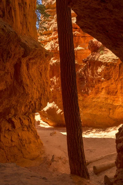 Paisaje Cañón Bryce Los Estados Unidos América — Foto de Stock