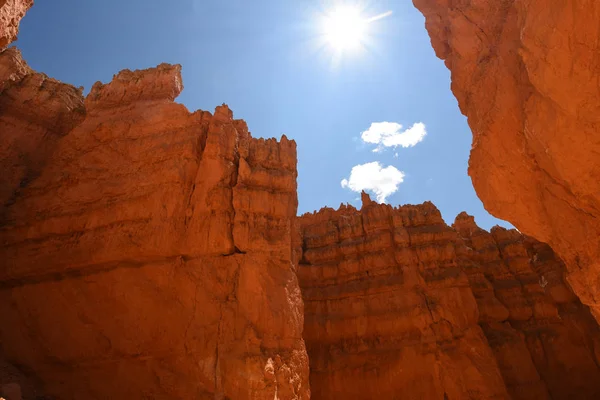 Liggend Bryce Canyon Verenigde Staten Van Amerika — Stockfoto