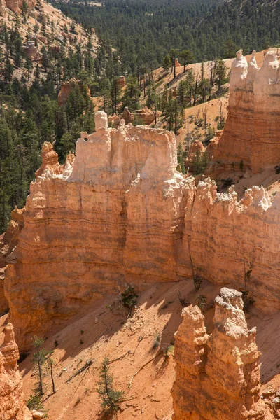 Paysage Sur Canyon Bryce Dans Les États Unis Amérique — Photo