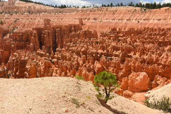 Táj Bryce Canyon Amerikai Egyesült Államok — Stock Fotó