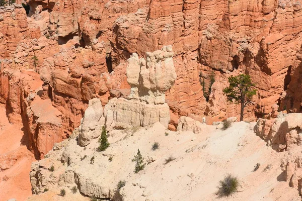 Liggend Bryce Canyon Verenigde Staten Van Amerika — Stockfoto