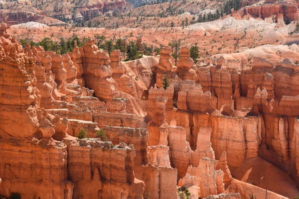 Paysage Sur Canyon Bryce Dans Les États Unis Amérique — Photo