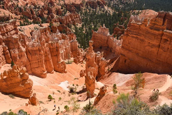 Paysage Sur Canyon Bryce Dans Les États Unis Amérique — Photo