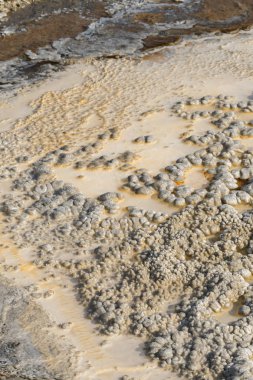 Wyoming Yellowstone Milli Parkı'nda eski sadık havzasında Gayzer ve kaplıca