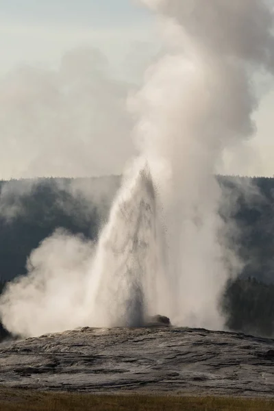 Geysir Und Heiße Quelle Alten Treuen Becken Des Yellowstone Nationalparks — Stockfoto