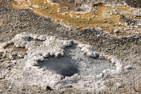 Wyoming Yellowstone Milli Parkı'nda eski sadık havzasında Gayzer ve kaplıca