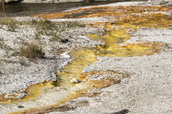 Geiser Aguas Termales Antigua Cuenca Fiel Parque Nacional Yellowstone Wyoming — Foto de Stock