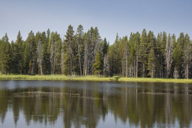 göller ve nehirler Yellowstone Milli Parkı'nda Wyoming
