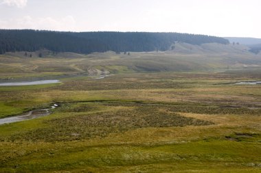 Wyoming 'deki Yellowstone Ulusal Parkı' ndaki çayır ve nehirleri gözden geçir