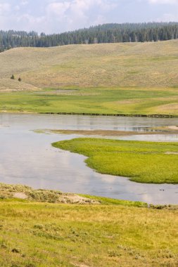 Wyoming 'deki Yellowstone Ulusal Parkı' ndaki çayır ve nehirleri gözden geçir