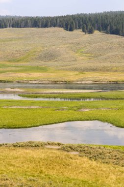 Wyoming 'deki Yellowstone Ulusal Parkı' ndaki çayır ve nehirleri gözden geçir