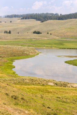 Wyoming 'deki Yellowstone Ulusal Parkı' ndaki çayır ve nehirleri gözden geçir