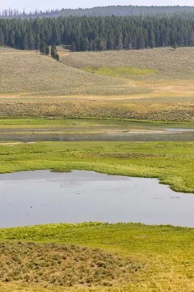 Vista General Las Praderas Ríos Parque Nacional Yellowstone Wyoming — Foto de Stock