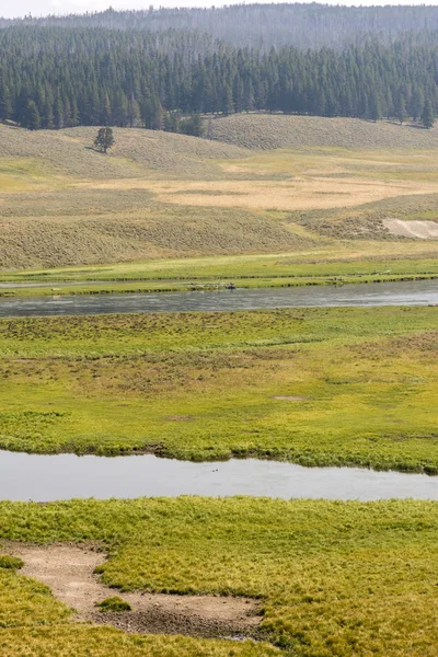 Vista General Las Praderas Ríos Parque Nacional Yellowstone Wyoming — Foto de Stock