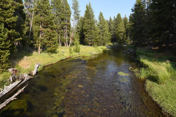 Aperçu Prairie Rivières Dans Parc National Yellowstone Wyoming — Photo