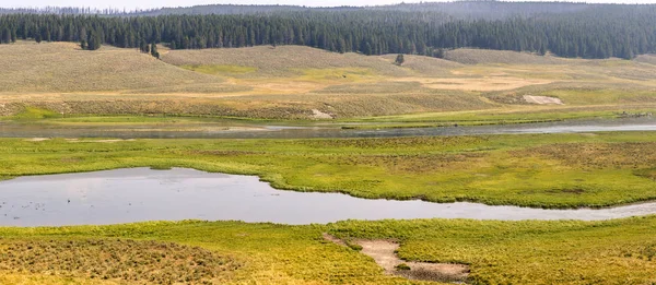 Vista General Las Praderas Ríos Parque Nacional Yellowstone Wyoming Fotos de stock libres de derechos